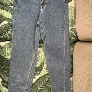 Wild Fable Blue Skinny Jeans